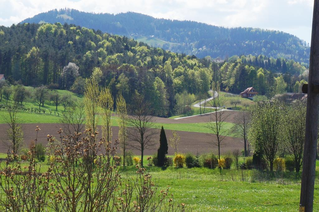 Pension Wolkenreich Oberhaag ภายนอก รูปภาพ